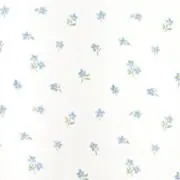 mugiの画像