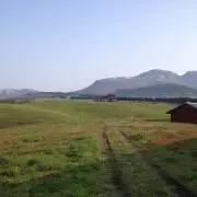 ミケルソン