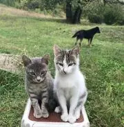 LIFEの画像