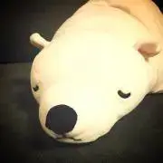 まる ★プロフ確認ください★の画像
