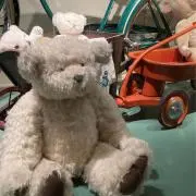 そう❁⃘の画像