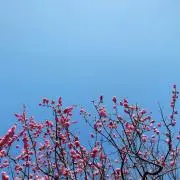 yuuiの画像