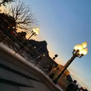 はりねずの画像