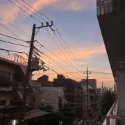 ちゃーの画像