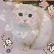 りんごNekoの画像