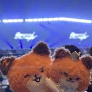 ringogogoの画像