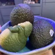 しんさんの画像