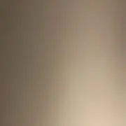 おにぎりの画像