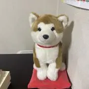 【プロフ必読】マサルとハナコ　断捨離中の画像