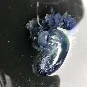 NFの画像