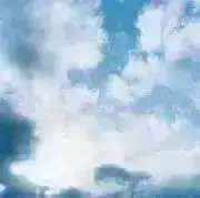 ととの画像