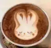 ローズマリーの画像