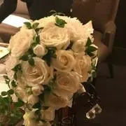 ひかりの画像