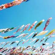 hnの画像