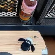 玉森の画像