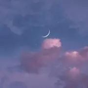 N.の画像