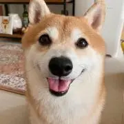 ONE Hの画像