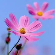 Umesh7   お声かけください♪の画像