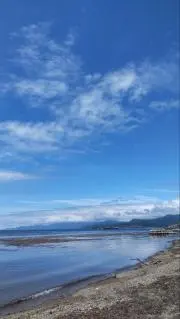 ぼーんの画像
