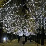 けんの画像