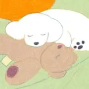 くまの画像
