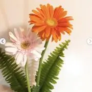 koto☆の画像