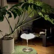 Waltの画像