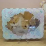 東野の画像