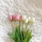 あいの画像