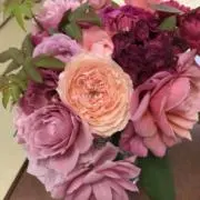 リリーの画像