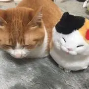 うめとろ