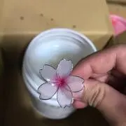 ざくろの画像
