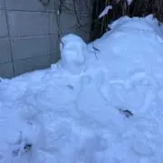 ゆの画像