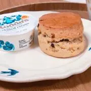 たこ。