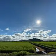 mikの画像