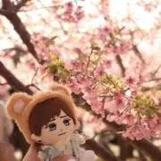 のあ