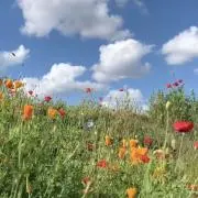 goodday週末セールで〜す❤️の画像