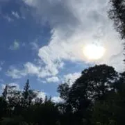 空✳︎プロフご必読くださいの画像