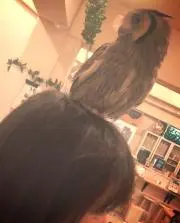 おぼ