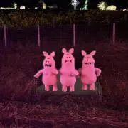 すぱえまの画像