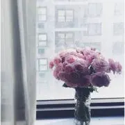 Nの画像