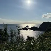 yの画像