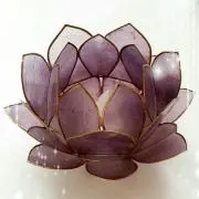 ☺Lotus☺プロフィール必読♥️の画像