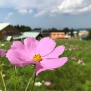 T&Y