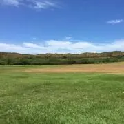 ワイハの画像
