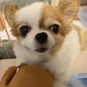 まる