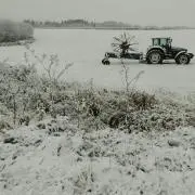 トラビンの画像