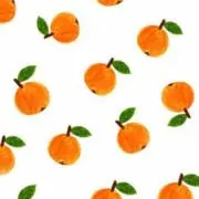 ぷくぽんの画像