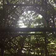 ☆AS☆