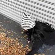 ちゃんかなの画像